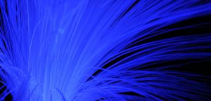 Over 20,000 premises in Co Wexford can avail of a high-speed connection today 
