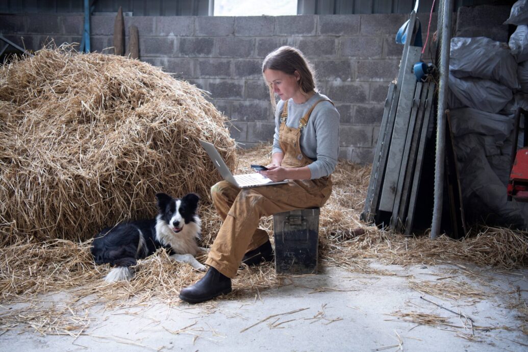 Twofold increase in number of connected farms as over 52,000 farms now have access to high-speed fibre under National Broadband Plan 