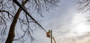 NBP Heads Towards Completion as Main Rollout Works Conclude in County Dublin